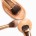 Tools & Brushes