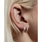 No More GOLD COAST HOOPS GOLD