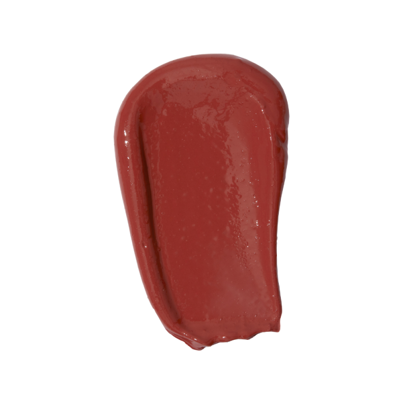 PAESE THE KISS LIPS LIQUID LIPSTICK 04 RUSTY RED PAESE THE KISS LIPS LIQUID LIPSTICK 04 RUSTY RED