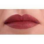 PAESE THE KISS LIPS LIQUID LIPSTICK 04 RUSTY RED PAESE THE KISS LIPS LIQUID LIPSTICK 04 RUSTY RED