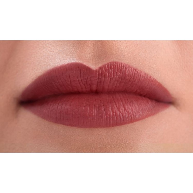 PAESE THE KISS LIPS LIQUID LIPSTICK 04 RUSTY RED PAESE THE KISS LIPS LIQUID LIPSTICK 04 RUSTY RED