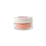 PAESE MINERALS MINERAL BLUSH 301N DUSTY ROSE PAESE MINERALS MINERAL BLUSH 301N DUSTY ROSE