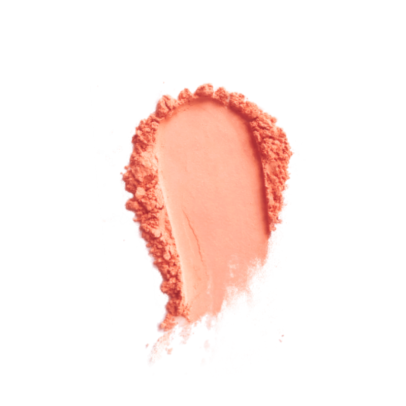 PAESE MINERALS MINERAL BLUSH 301N DUSTY ROSE PAESE MINERALS MINERAL BLUSH 301N DUSTY ROSE