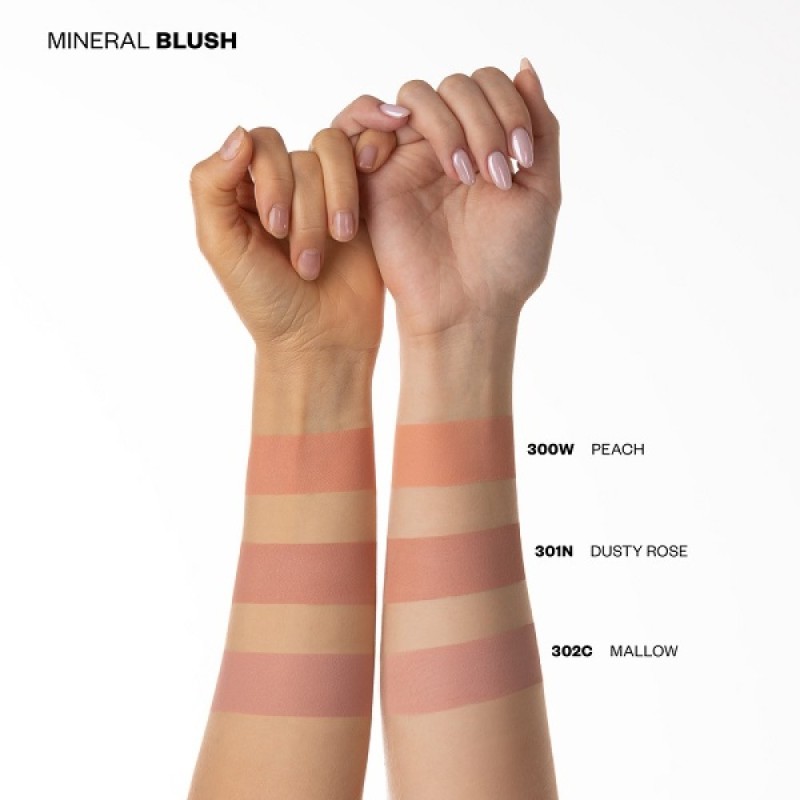 PAESE MINERALS MINERAL BLUSH 301N DUSTY ROSE PAESE MINERALS MINERAL BLUSH 301N DUSTY ROSE